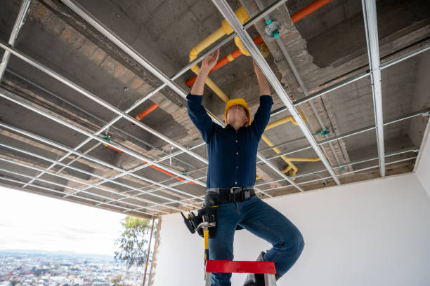 Best Plumbing Services Near Me  in Bushnell, IL